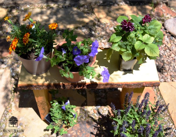 WH Garden Bench Flowers